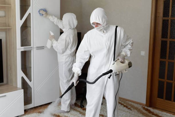 Trusted Sewage Cleanup service in Island Heights, NJ - Four Month Blood Cleanse